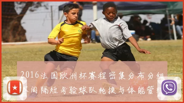 2016法国欧洲杯赛程密集分布分组赛间隔短考验球队轮换与体能管理