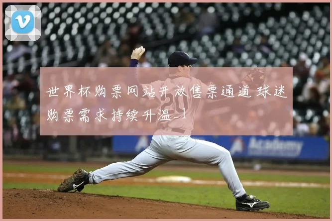 世界杯购票网站开放售票通道 球迷购票需求持续升温_1