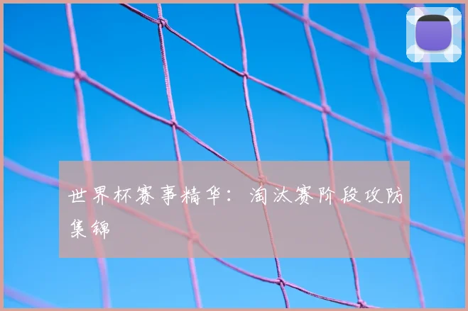世界杯赛事精华:淘汰赛阶段攻防集锦