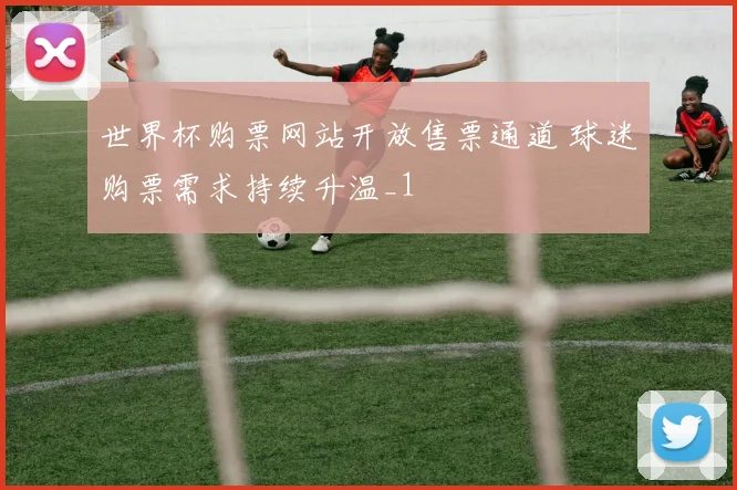 世界杯购票网站开放售票通道 球迷购票需求持续升温_1